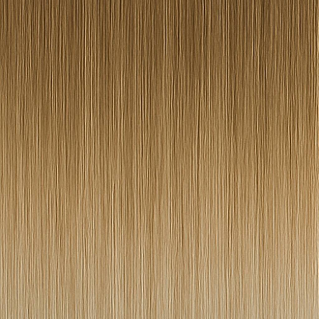 Tape In Hair Extensions Premium - 8A/12AS Ash Mix Balayage