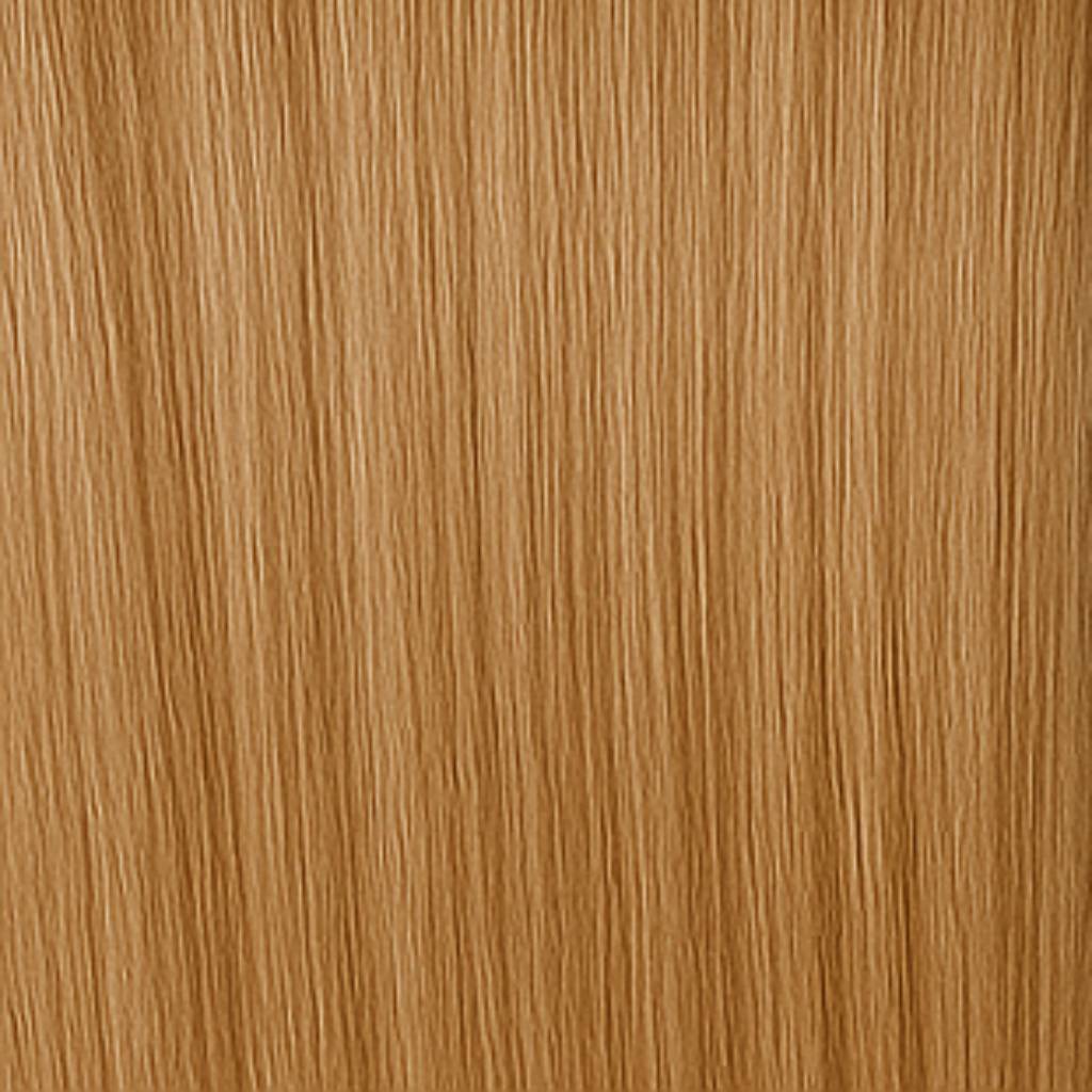 Tape On Hair Extensions Standard - 8B/10B Brown Ash Blonde Mix